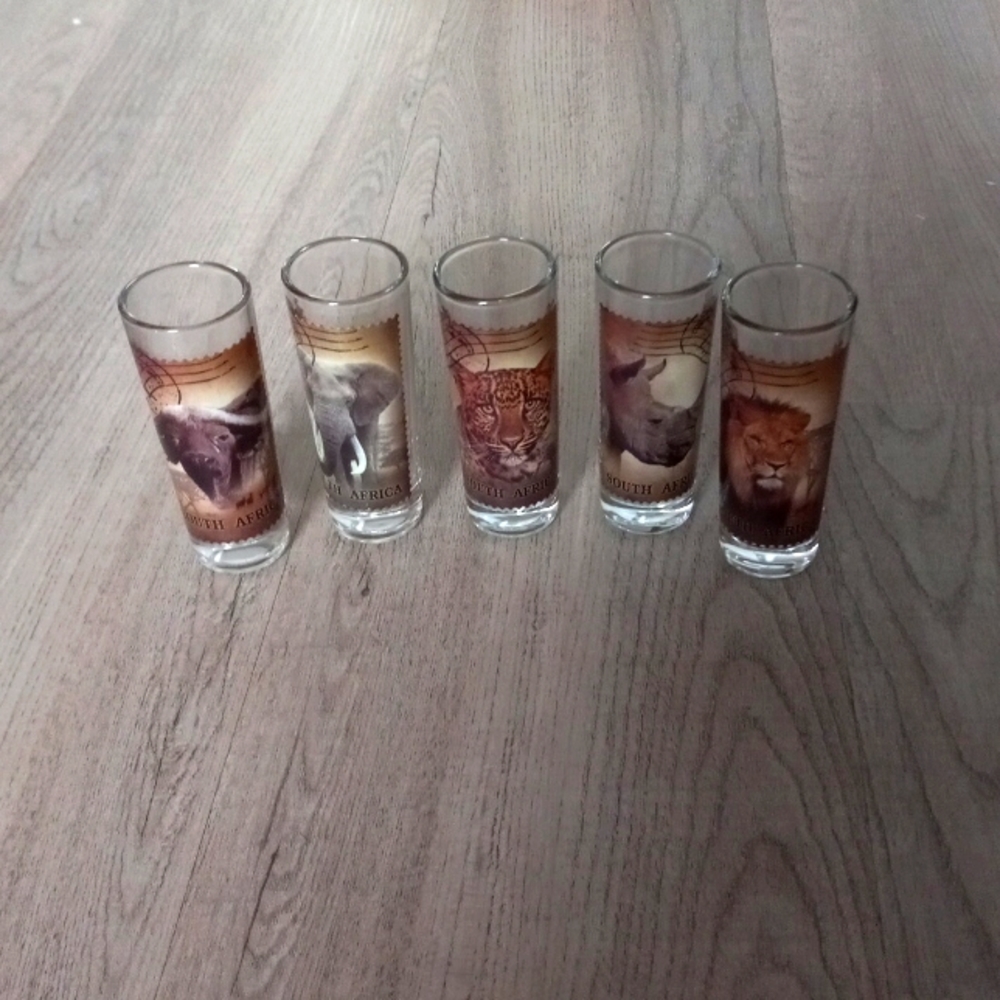 5 piece Africian shot glasses